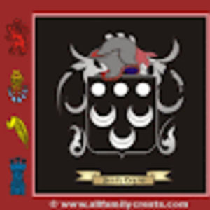 Meet your Posher, Frank